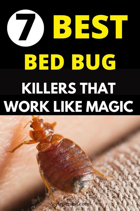 If you’re dealing with a bed bug infestation, fret not! This guide, we will walk you through step-by-step how to kill bed bugs from your home. Bed Bug Trap, Get Rid Of Bed Bugs, Bug Infestation, Diy Bug Spray, Bug Trap, Kill Bed Bugs, Door Bed, Kill Bugs, Rid Of Bed Bugs