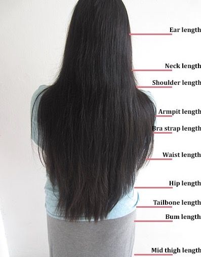 Hair length chart Hair Growth Charts, Top Haircuts For Men, Undercut Long Hair, Hair Growth Foods, Half Shaved Hair, Hair Length Chart, Growth Charts, Long Face Hairstyles, Hair Idea