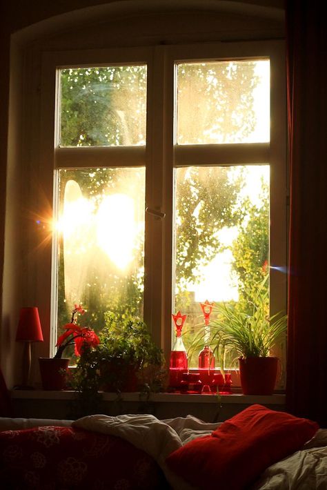 What a glorious morning! Red Sunrise, An Open Window, Looking Out The Window, Beautiful Windows, Window View, Through The Window, Open Window, Window Sill, Beautiful Views