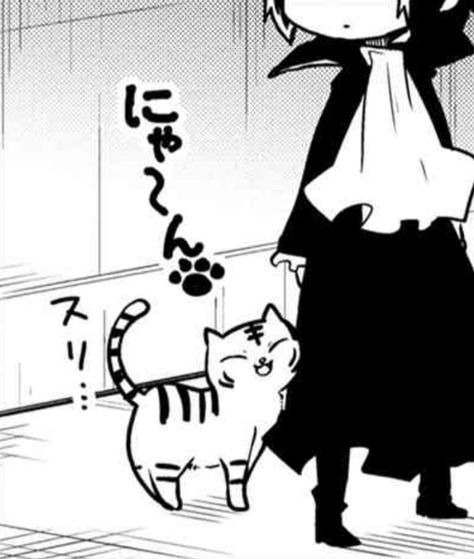 Cat Akutagawa, Bungou Stray Dogs Manga Icons, Atsushi Manga, Bsd Pfps, Bsd Wan, Akutagawa Ryunosuke, Shin Soukoku, Homeless Dogs, Silly Dogs