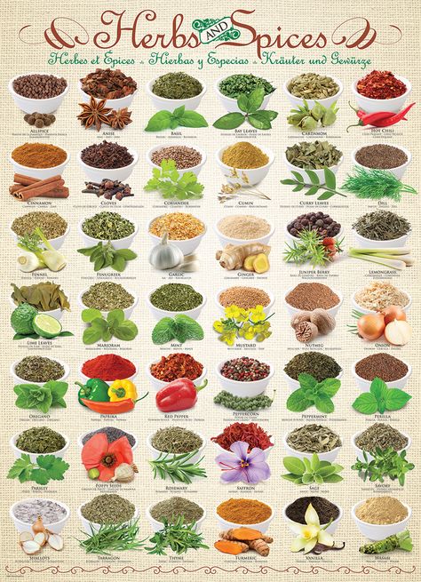 Herbs & Spices 1000-Piece Puzzle. Every tasty sweet or savory spice in the kitchen can be found in this colorful puzzle. Types Of Spices, Homemade Spices, Herbs For Health, Spice Mix, Collage Poster, Spices And Herbs, Garden Care, Healing Herbs, Herbs And Spices