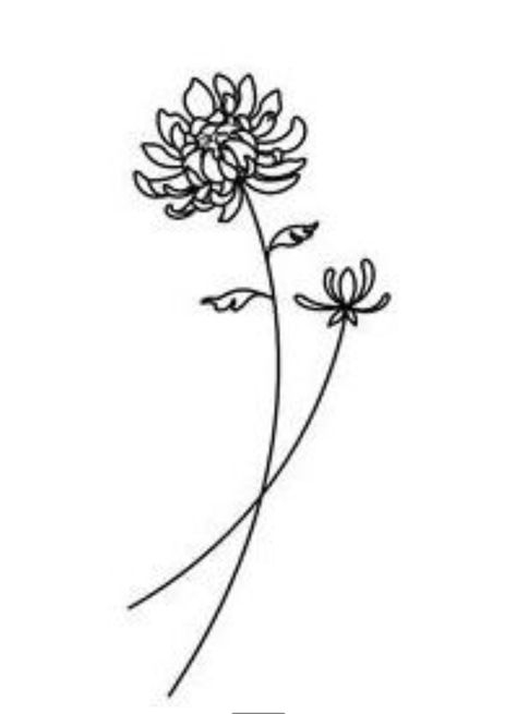 Single Line Chrysanthemum Tattoo, Chrysanthemum Simple Drawing, Chrysanthemum Flower Tattoo Minimalist, Chrysanthemum Simple Tattoo, Chrysanthemum Flower Drawing Simple, Chrysanthemum Drawing Simple, Simple Chrysanthemum Tattoo, Crysanthemum Tattoo Simple, Chrysanthemum Flower Drawing