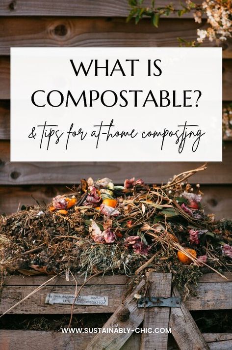 What is Compostable? & Easy Tips for Composting — Sustainably Chic Compost Tea Recipe, Food Waste Recycling, Start Composting, Compost Mulch, Diy Compost, Landscape Tips, How To Make Compost, Homesteading For Beginners, Modern Homesteading