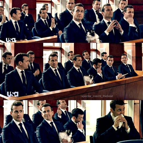 12 #HarveySpecter #12 and #onecat 9x03 #Season9 😘❤🔥 #suits #suitstvshow #suitsusa #gabrielmacht Suits Quotes, Suits Tv Series, Harvey Specter Suits, Suits Usa, Gabriel Macht, Suits Tv, Harvey Specter, Tv Series, Tv Shows