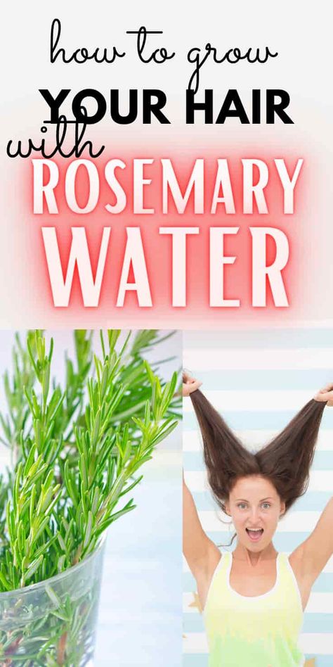 Rosemary Water for Hair Growth; Pros, Cons & Recipe Rosemary Water For Hair Growth, Rosemary Water For Hair, Rosemary For Hair Growth, Rosemary For Hair, Water Hair Growth, Herbs For Hair Growth, How To Darken Hair, Rosemary Hair Growth, Rosemary Water