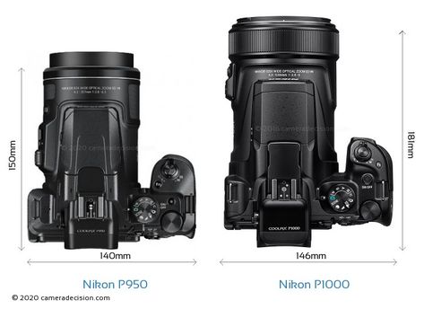 Nikon P1000, Bridge Camera, Strengths And Weaknesses, Light Sensitivity, Optical Image, Nikon Coolpix, Camera Nikon, Zoom Lens, Sports Photography