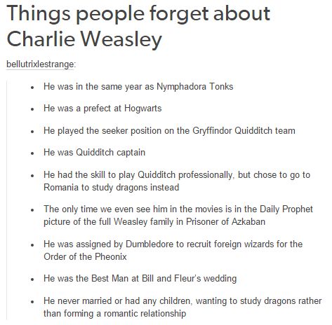 harry potter - charlie weasley The Weasley Family, Gryffindor Quidditch Team, Charlie Weasley, Gryffindor Quidditch, Funny Harry Potter, Aro Ace, Weasley Family, Nymphadora Tonks, Severus Rogue