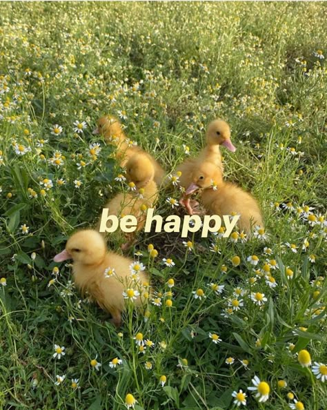 Happiness Astetics, Aesthetic Happy Pictures, Cute Happy Aesthetic, Hippy Vision Board, Things That Make Me Happy Aesthetic, Pictures That Make You Feel Alive, Creative Asethic, Happy Personality Aesthetic, Happy Me Aesthetic