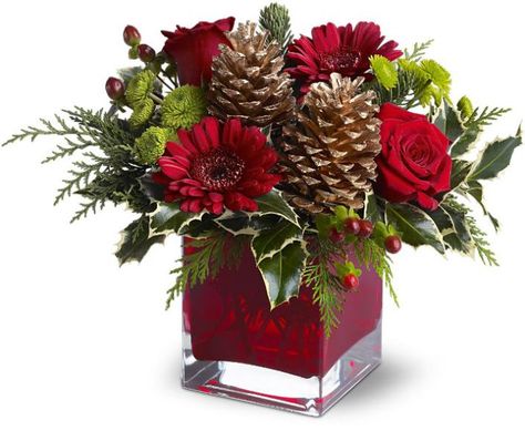 Wild Orchid Des Moines Florist - Des Moines Flower Shops | cozy-christmas Christmas Floral Designs, Christmas Centers, Deco Table Noel, Christmas Bouquet, Christmas Flower Arrangements, Christmas Floral Arrangements, Flower Arrangements Simple, Holiday Flower, Holiday Floral