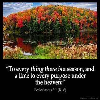 Please visit and like: https://www.facebook.com/anemptygrave King James Bible Online, Ecclesiastes 3, Bible Verses Kjv, King James Bible Verses, King James Bible, Biblical Quotes, Favorite Bible Verses, Inspirational Images, Verse Of The Day