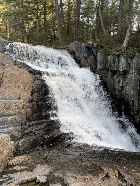 The best way to get to Little Wilson Falls is by hiking Little Wilson Falls Trail. Waterfall Hike, Waterfall Trail, Maine Travel, Waterfall Hikes, State Birds, Family Camping Trip, Stay Overnight, Appalachian Trail, Beautiful Waterfalls