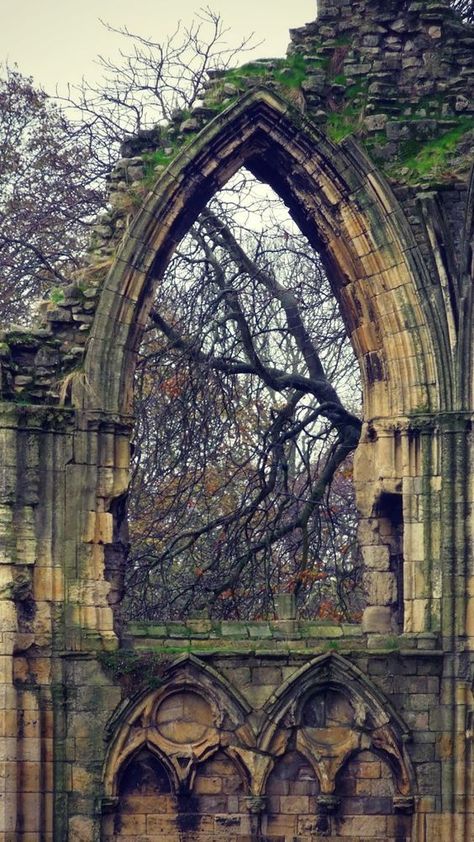 Thorenhad Abandoned Churches, Beautiful Ruins, Abandoned Castles, Abandoned House, Old Churches, Castle Ruins, Abandoned Mansions, Gothic Architecture, Old Stone