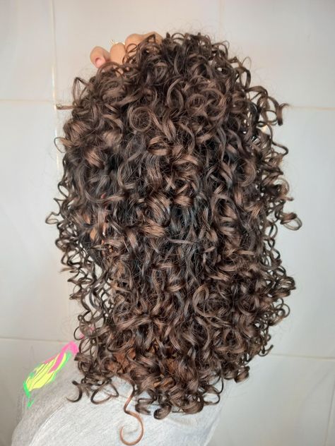 Dimensional Brunette Curly Hair, Highlights Curly, Hair Goal, Natural Curly Hair Cuts, Highlights Curly Hair, Brown Curly Hair, Curly Hair Photos, Brown Hair Balayage, Hairdos For Curly Hair