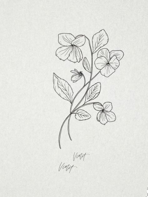 Violet Flower Vine Tattoo, Blue Violet Tattoo Black And White, Violets Tattoo Black And White, Violet Drawing Tattoo, Violet Vine Tattoo, Violet Flower Bouquet Tattoo, Violets Flower Tattoo, Violets Tattoo Flower, Violet Flower Line Drawing