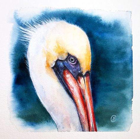 Pelican in Watercolors - Pencil sketches, color swatches, palette Pelican Painting, Pelican Art, Coastal Birds, Learn Watercolor Painting, Learn Watercolor, Watercolor Lessons, Watercolor Artists, Watercolor Paintings Tutorials, Watercolor Inspiration