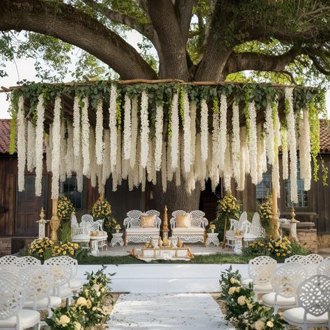 A breathtaking outdoor wedding setup under a large tree, with a rustic charm and a dreamy, lush canopy created by cascading white floral garlands and green vines. The stage is elegantly decorated with intricate white chairs, gold accents, and decorative white and gold cushions. Traditional wedding items are arranged in the center, surrounded by greenery and vibrant floral arrangements that exude a peaceful, traditional ambiance. The wooden structure in the background hints at a quaint, rural venue, perfectly complementing the intimate, nature-inspired theme. The entire setup exudes a serene, earthy elegance, making it the perfect setting for a traditional ceremony. Budget Indian Wedding Decor, Wedding Mandap Under Tree, Tree Hangings Wedding Decor, White Floral Mandap Decor, Indoor Reception Decorations Indian, Engagement Setup Indian, Indian Wedding In Nature, Mandap Under Tree, Indian Wedding Tree Decor