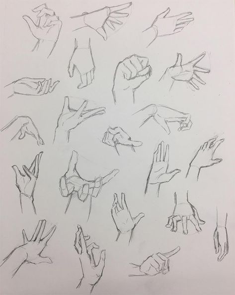 100+ Drawings Of Hands: Quick Sketches & Hand Studies Different Hand Poses, Drawings Of Hands, Hand Gesture Drawing, Hand Studies, Hand Poses, Quick Sketches, Drawing Hands, Hand Gestures, Hand Drawing Reference