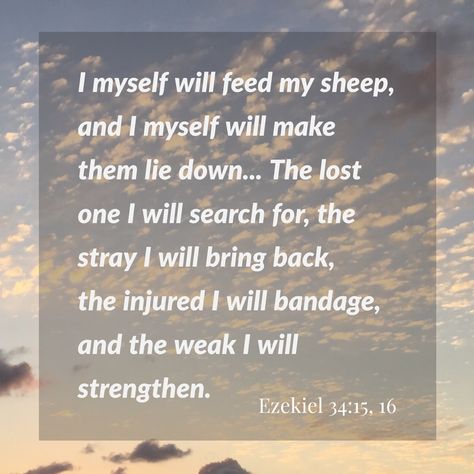 Rs Activities, Feed My Sheep, Telugu Jokes, Gospel Bible, Lost Sheep, Purpose Driven Life, Words Of Jesus, Church Quotes, Christian Education