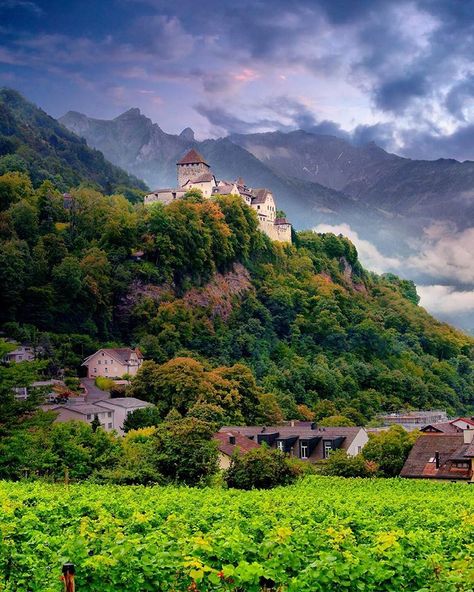 Vaduz Castle, Vaduz Liechtenstein, Feldkirch, Europe City, International Holidays, Visit Switzerland, Rhine River, Landlocked Country, City Photos