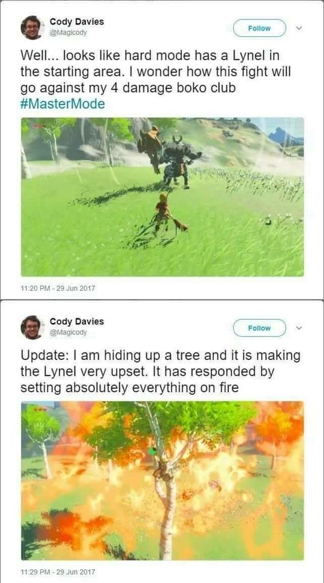 Link And Zelda Love, Legends Of Zelda, Zelda Comics, Botw Zelda, Legend Of Zelda Memes, Zelda Funny, Video Game Character, Zelda Botw, Video Game Memes