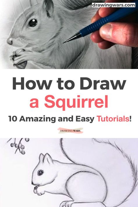 How to Paint a Squirrel Step by Step the easy way. Learn How to Paint a Squirrel Easy with the Best 10 Online Video Tutorials with Acrylic, Digital and many more techniques! How to Paint a Squirrel for Kids, How to Paint a Squirrel Step by Step and more! Painting Ideas on Canvas with Acrylic Paint, oil, pencil, watercolors, and many more painting techniques! Picture Of Squirrel, Drawing A Squirrel Step By Step, Paintings Of Squirrels, How To Paint A Squirrel Step By Step, Painting A Squirrel, How To Paint A Squirrel, Squirrel Outline Drawing, Squirrel Painting Easy, Grey Squirrel Drawing