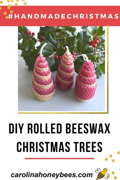 Learn how to make your own beeswax Christmas trees with rolled sheets of beeswax. They can also be used as beeswax ornaments and make great simple Christmas gifts for anyone. #carolinahoneybees Christmas Gifts For Anyone, Simple Christmas Gifts, Beeswax Ornaments, Beeswax Recipes, Rolled Beeswax Candles, Rolled Candles, Tree Candles, Candle Tutorial, Candle Projects