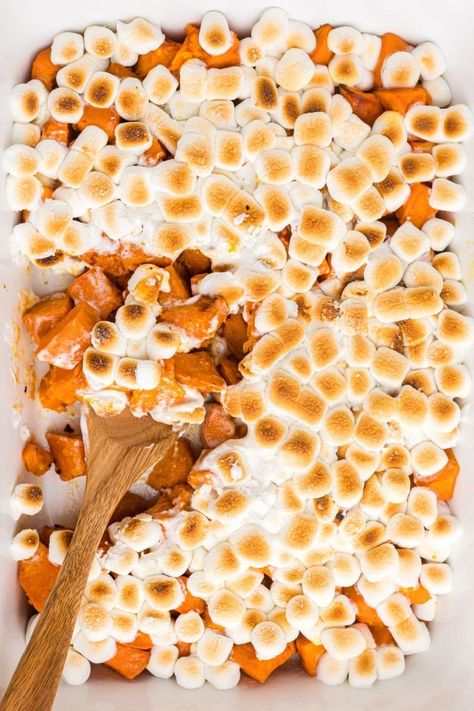 Candied Yams - Recipes Food Thanksgiving Yam Recipe, Recipe Marshmallows, Thanksgiving Yams, Yam Casserole, Yams With Marshmallows, Iced Pumpkin Cookies, Candied Yams Recipe, Maple Sweet Potatoes, Yam Or Sweet Potato