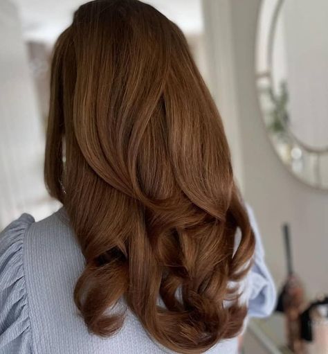 Trending Brown Hair Color 2023, Chestnut Brown Hair Aesthetic, Full Hair Dye Ideas, Medium Chestnut Brown Hair Color, Chesnutt Brown, Nut Brown Hair, Medium Chestnut Brown Hair, Chesnut Hair Color, Coper Hair Color