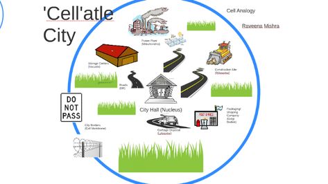 Cell City Project, Plant Vs Animal Cell, Plant Cells And Animal Cells, Basic Cell Structure, Cell Analogy, Cell City, Difference Between Plant And Animal Cell, Classroom Map, Plant And Animal Cells