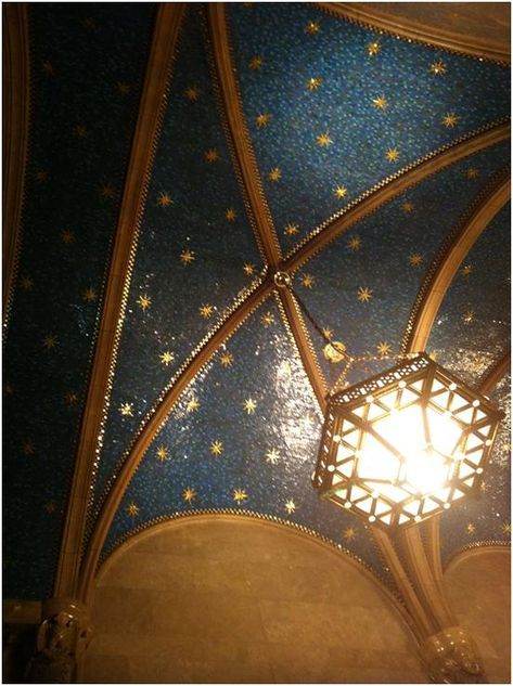 Celestial Ceilings, Constellation Ceiling, Starry Night Bedroom, Ravenclaw Room, Starry Ceiling, Beach House Aesthetic, Starry Starry Night, Star Ceiling, Ceiling Murals