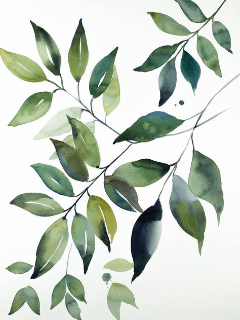 Saatchi Art is pleased to offer the Art Print, "Plant Study No. 104," by Elizabeth Becker. Art prints are available from $40 USD. Archival inks on Fine Art Paper, Canvas. Size is 12 H x 9 W in. Plants Watercolor, Plant Watercolor, Paintings Easy, Plant Study, Flowers Paintings, Watercolor Landscapes, Leaf Painting, Watercolor Plants, Feather Crafts