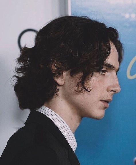 Timmy T, Regulus Black, Best Supporting Actor, Side Profile, Timothee Chalamet, White Aesthetic, A Black, Curly Hair, Actors & Actresses