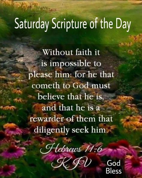 Hebrews 11 6, Scripture Of The Day, Daily Verses, King James Bible, Morning Blessings, Daily Bible Verse, Verse Of The Day, King James, Verses