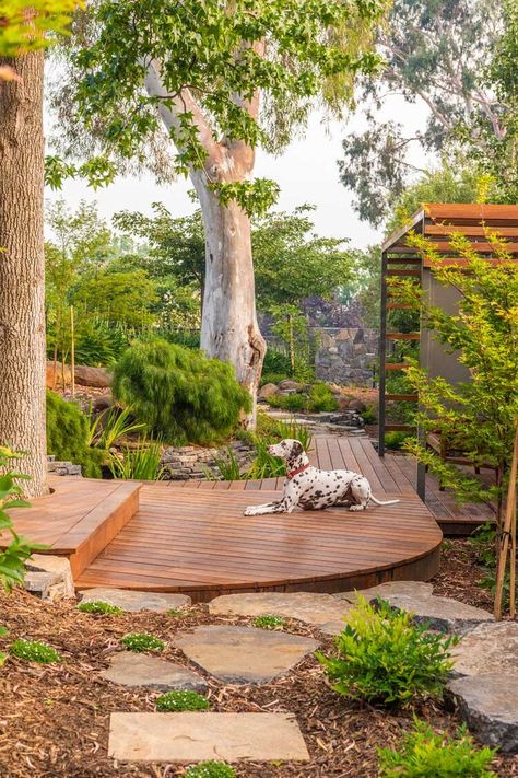 Japanese Inspired Garden, Brick Planter, Edible Gardens, Australian Native Garden, Garden Paving, Gravel Garden, Evergreen Plants, Mediterranean Garden, Native Garden