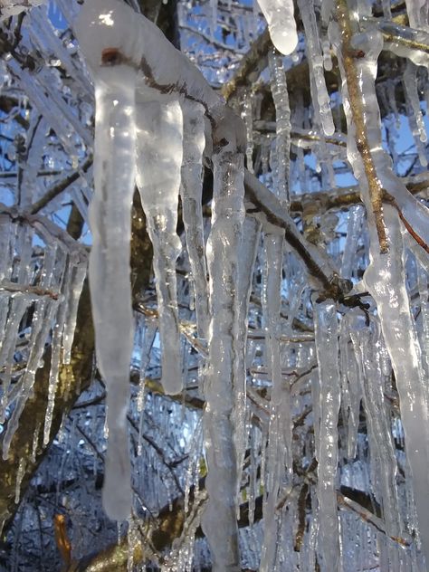 icicles *pretty🌨️ Ice Asethic, Icicles Aesthetic, Icicle Aesthetic, Dec Nails, Branches Of Trees, Ice Aesthetic, Concept Wardrobe, Realistic Dragon, Cottage Witch