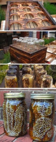 Bar Names, Pond Diy, Backyard Beehive, Raising Bees, Bar Diy, Backyard Beekeeping, Mason Bees, Green Stuff, Garden Mini