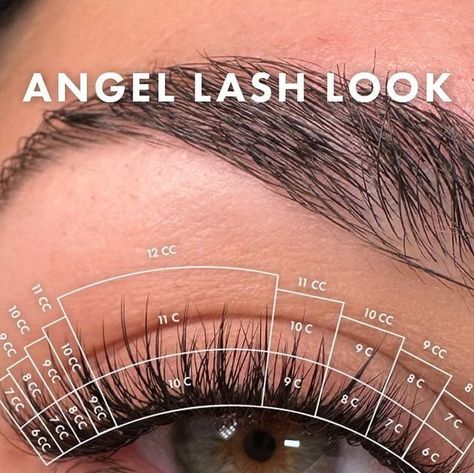 london_lash_pro on May 23, 2024: "SAVE THIS POST 📍📌 Mapping just dropped for this STUNNING angel lashes set by our angel @loredana_londonlashpro 👼🪽🫶 Tag a client below who you want to try this styling on! 👀🤎 #lashmap #lashmapping #lashstyle #londonlash #londonlashpro #eyelashextensions #lashextensions #lashtech #eyelashtechnician #londonlashpro #lashsupplies #lashsupplier". Map Extension Eyelash, Angel Lash Extensions Mapping, Angel Lash Map, Angel Lashes Map, Angel Lashes, Lash Mapping For Downturned Eyes, Angel Lash Extensions, Lash Extentions Maps, Lash Extension Supplies