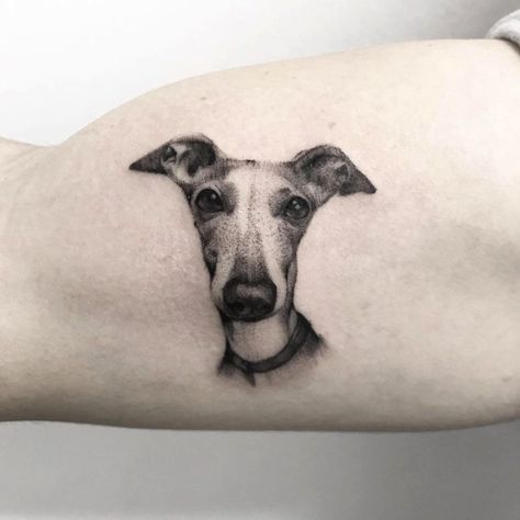 70 fotos de tatuagens em micro realismo - Blog Tattoo2me Breeze Tattoo, Rio Tattoo, Greyhound Tattoo, Tattoos 2023, P Tattoo, Inspiration Tattoos, Modern Tattoos, Subtle Tattoos, Realism Tattoo