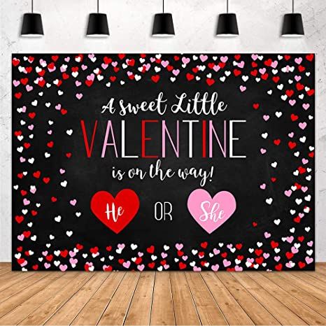 Valentine Gender Reveal, Valentines Gender Reveal, Gender Reveal Backdrop, Photo Studio Props, Baby Shower Photography, Shower Backdrop, Outdoor Party Decorations, Baby Shower Backdrop, Studio Props