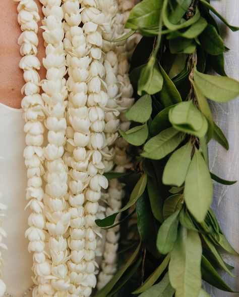 Lei Poo, Oahu Wedding, Hawaiian Culture, Vintage Hawaii, Grad Parties, The Groom, Oahu, Painting Inspiration, Bride And Groom