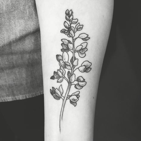 Lupin flower tattoo. Done by Evan Davis at Banshee tattoo in Nashville. Lupine Tattoo, Lupin Flower, Bluebonnet Tattoo, Hannah Tattoo, Peony Flower Tattoos, Tattoos Inspo, Lupine Flowers, O Tattoo, Botanical Tattoo