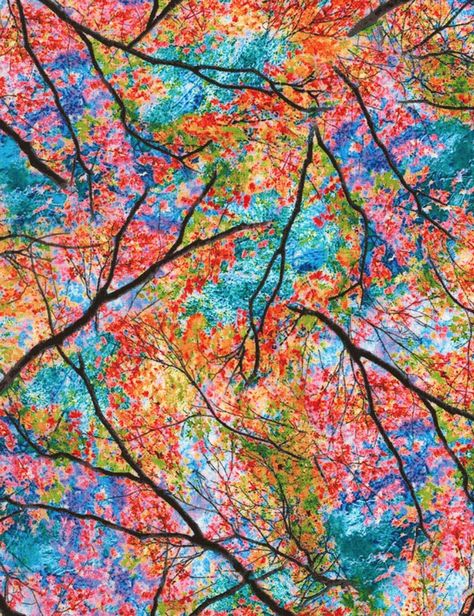 Spring Tree Art, Boom Kunst, Spring Trees, Trees Fabric, Electric Forest, Electric Daisy Carnival, Nature Spring, Spring Tree, Nature Tree