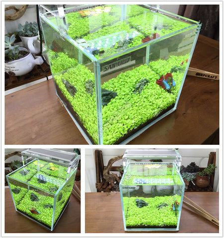 Pet Products | Shopy Max Bonsai Seeds, Aquarium Landscape, Water Grass, Planting Pot, Aquarium Plants, Tree Seeds, Grass Seed, Aquarium Decorations, Fish Tank Decorations