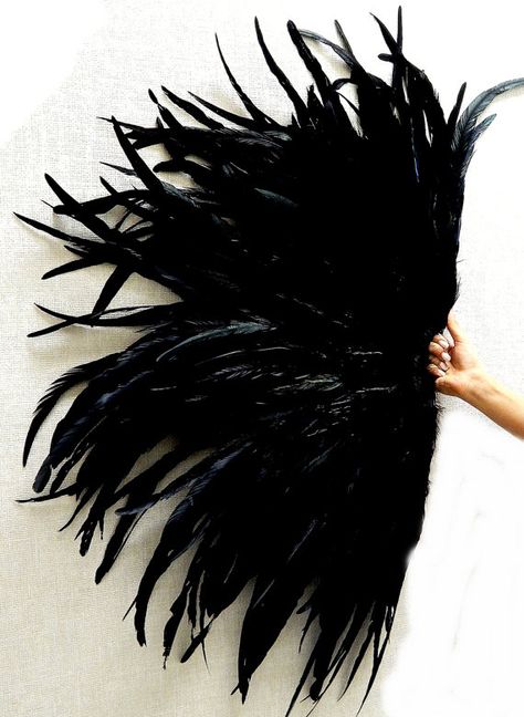 Black Raven Grand Deco Feather Fan Las Vegas by sajeeladesign Burlesque Moodboard, Burlesque Bachelorette, Burlesque Fan, Pretty Fans, Moulin Rouge Costumes, Las Vegas Showgirl, Vegas Theme Party, Feather Fans, Whatsoever Things Are Lovely