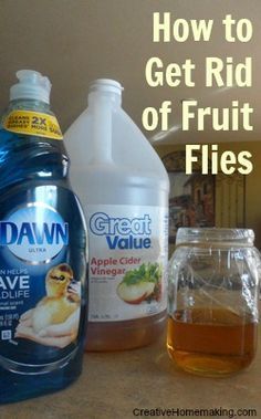 Soap Scum Remover, Homemade Fruit Fly Trap, Diy Tub, Curry Dip, Fruit Fly Trap, Small Mason Jars, Dish Detergent, Vinegar Cleaning, Fly Traps