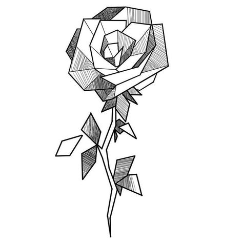 Creative Art Sketches, Sketch Creative, Geometric Rose, Polygon Art, Geometric Design Art, Beautiful Sketches, Geometric Drawing, Artist Illustration, Trendy Art