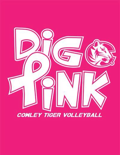 Dig pink night!! Dig Pink Volleyball Ideas, Night Volleyball, Pink Volleyball, Dig Pink, Spirit Bags, Volleyball Posters, Pink Ideas, Pink Basketball, Pink Games