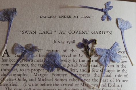 eloise bridgerton | aesthetic | bridgerton Margot Fonteyn, Mazzy Star, Swan Lake, Stardust, Pressed Flowers, Little Things, Dream Life, Dried Flowers, A R