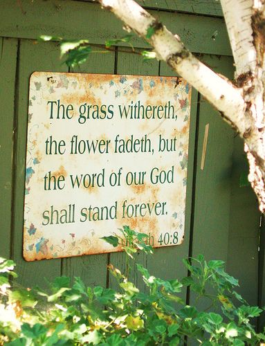 Sign...how cute for the garden!! Isiah 40, Winter Bulletin, Find God, Prayer Garden, Garden Quotes, Garden Signs, Garden Crafts, The Grass, Winter Garden