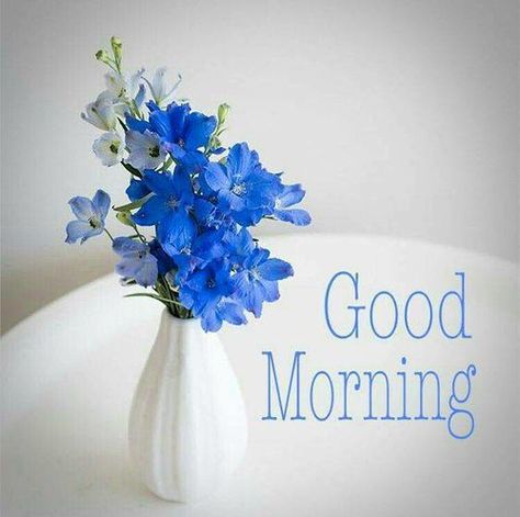 Lovely Good Morning Images, Quotes Good Morning, Good Morning Friday, Good Morning Images Hd, Good Morning Flowers Pictures, Good Morning Beautiful Quotes, Good Morning Image Quotes, Good Morning Cards, Good Morning Images Flowers